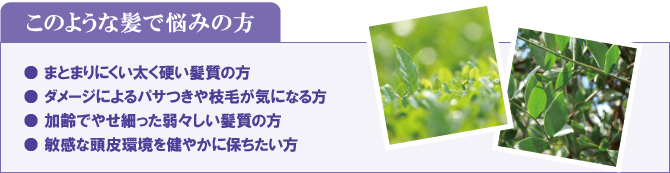 このような髪で悩みの方 このような髪で悩みの方